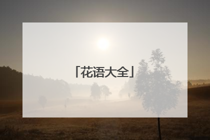 花语大全