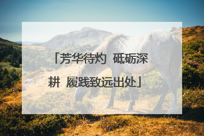 芳华待灼 砥砺深耕 履践致远出处