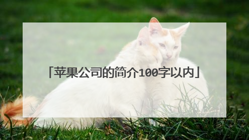 苹果公司的简介100字以内