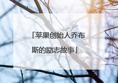 苹果创始人乔布斯的励志故事