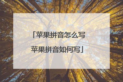 苹果拼音怎么写 苹果拼音如何写