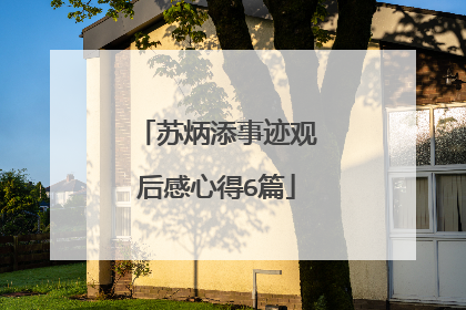 苏炳添事迹观后感心得6篇