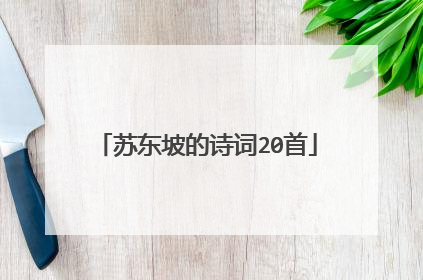 苏东坡的诗词20首