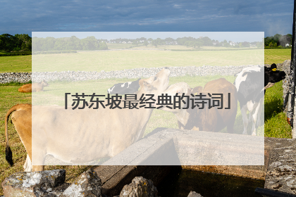 苏东坡最经典的诗词