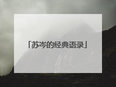 苏岑的经典语录