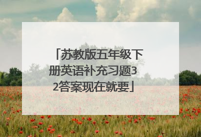 苏教版五年级下册英语补充习题32答案现在就要