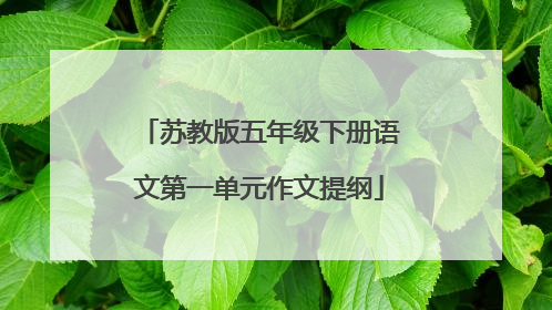 苏教版五年级下册语文第一单元作文提纲
