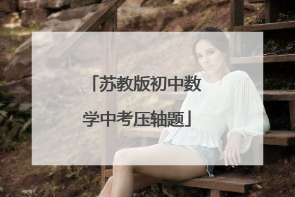 苏教版初中数学中考压轴题