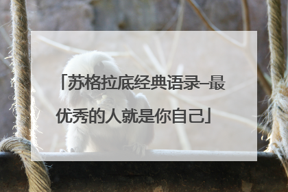 苏格拉底经典语录—最优秀的人就是你自己