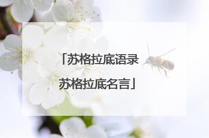 苏格拉底语录 苏格拉底名言