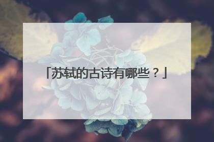 苏轼的古诗有哪些?