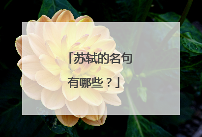 苏轼的名句有哪些?