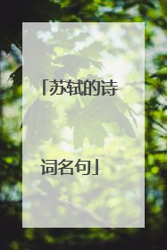 苏轼的诗词名句