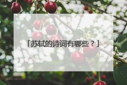 苏轼的诗词有哪些?