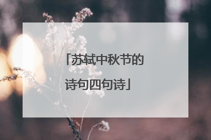 苏轼中秋节的诗句四句诗