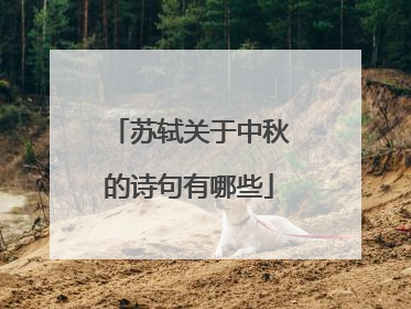 苏轼关于中秋的诗句有哪些