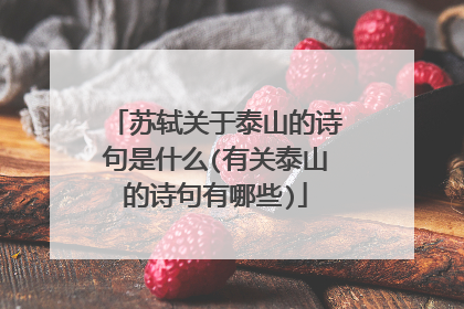 苏轼关于泰山的诗句是什么(有关泰山的诗句有哪些)