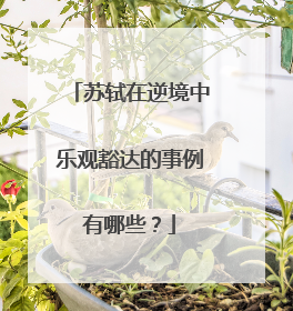 苏轼在逆境中乐观豁达的事例有哪些？