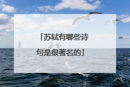 苏轼有哪些诗句是很著名的