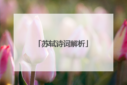 苏轼诗词解析
