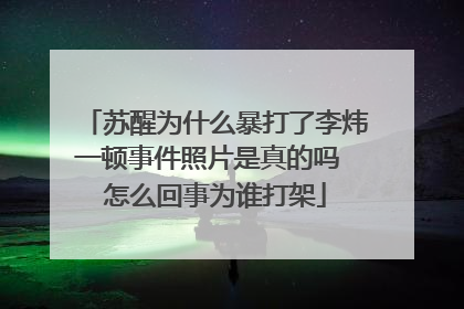 苏醒为什么暴打了李炜一顿事件照片是真的吗 怎么回事为谁打架