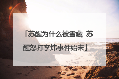 苏醒为什么被雪藏 苏醒怒打李炜事件始末