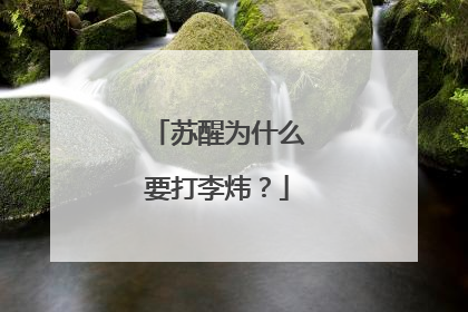 苏醒为什么要打李炜？