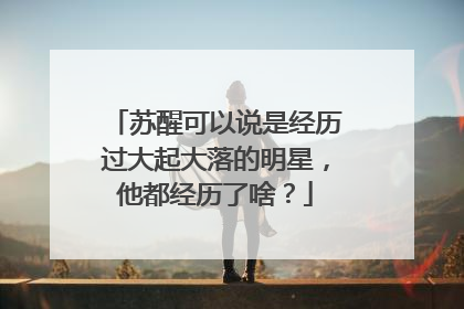 苏醒可以说是经历过大起大落的明星，他都经历了啥？