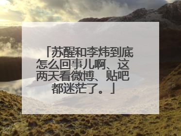 苏醒和李炜到底怎么回事儿啊、这两天看微博、贴吧都迷茫了。