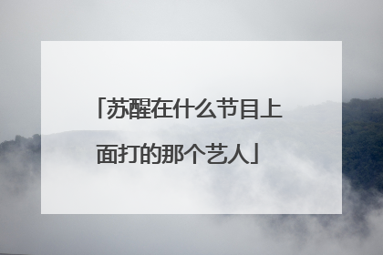 苏醒在什么节目上面打的那个艺人