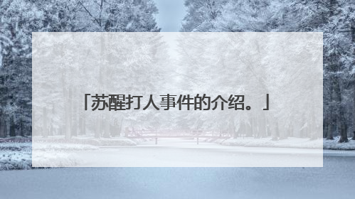 苏醒打人事件的介绍。