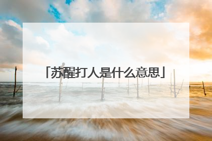 苏醒打人是什么意思