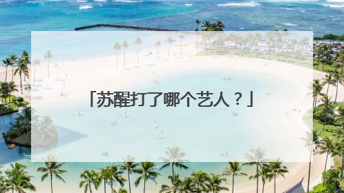 苏醒打了哪个艺人?