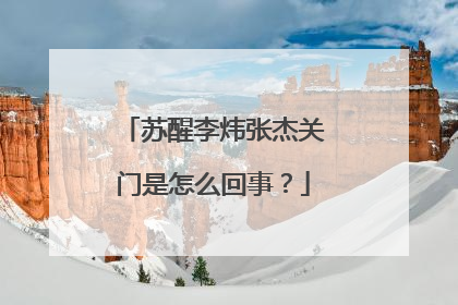 苏醒李炜张杰关门是怎么回事?