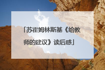 苏霍姆林斯基《给教师的建议》读后感