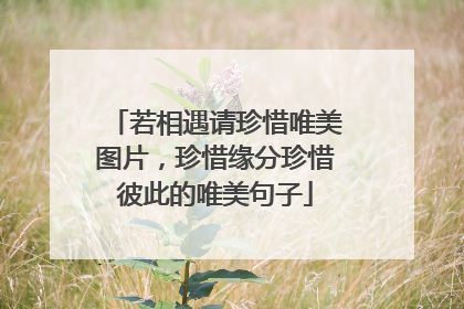 若相遇请珍惜唯美图片，珍惜缘分珍惜彼此的唯美句子