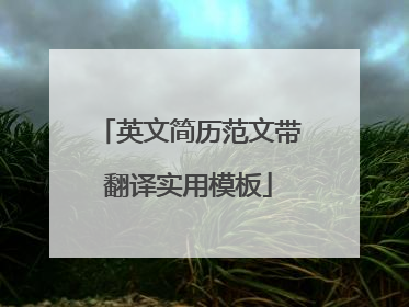 英文简历范文带翻译实用模板