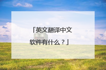 英文翻译中文软件有什么？