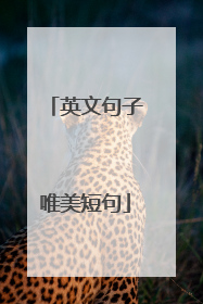 英文句子唯美短句