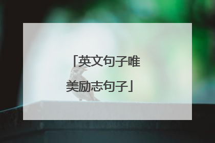 英文句子唯美励志句子