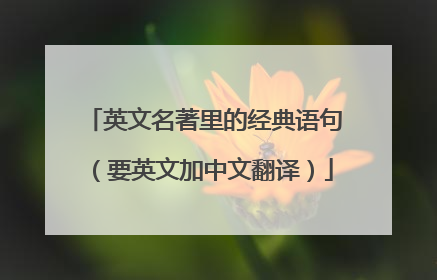 英文名著里的经典语句(要英文加中文翻译)