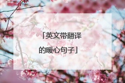 英文带翻译的暖心句子