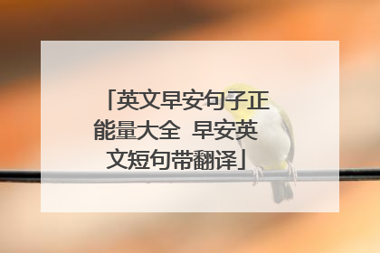 英文早安句子正能量大全 早安英文短句带翻译