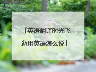 英语翻译时光飞逝用英语怎么说