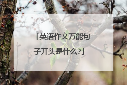 英语作文万能句子开头是什么?