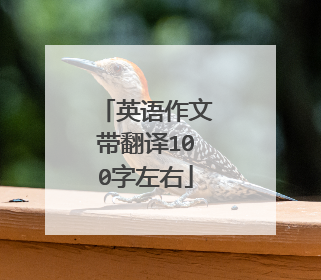 英语作文带翻译100字左右