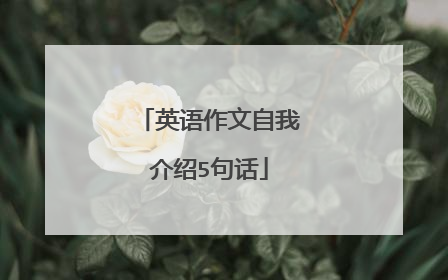英语作文自我介绍5句话