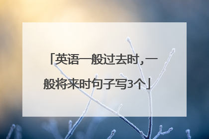 英语一般过去时,一般将来时句子写3个