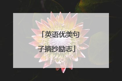 英语优美句子摘抄励志