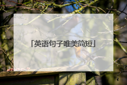 英语句子唯美简短
